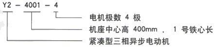 YR系列(H355-1000)高压YJTG-315L2-4A/200KW三相异步电机西安西玛电机型号说明